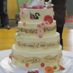 SWAN Day Cake
